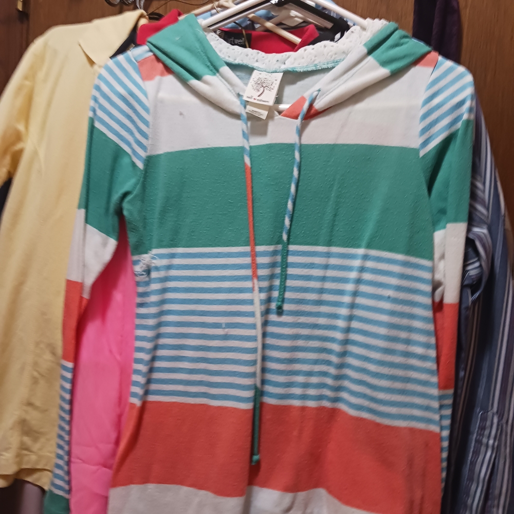 Sail to Sable Multicolor Striped Hoodie